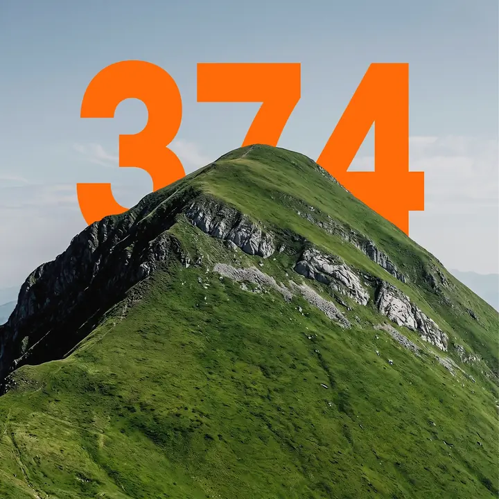 WILD374 animated brand identity preview