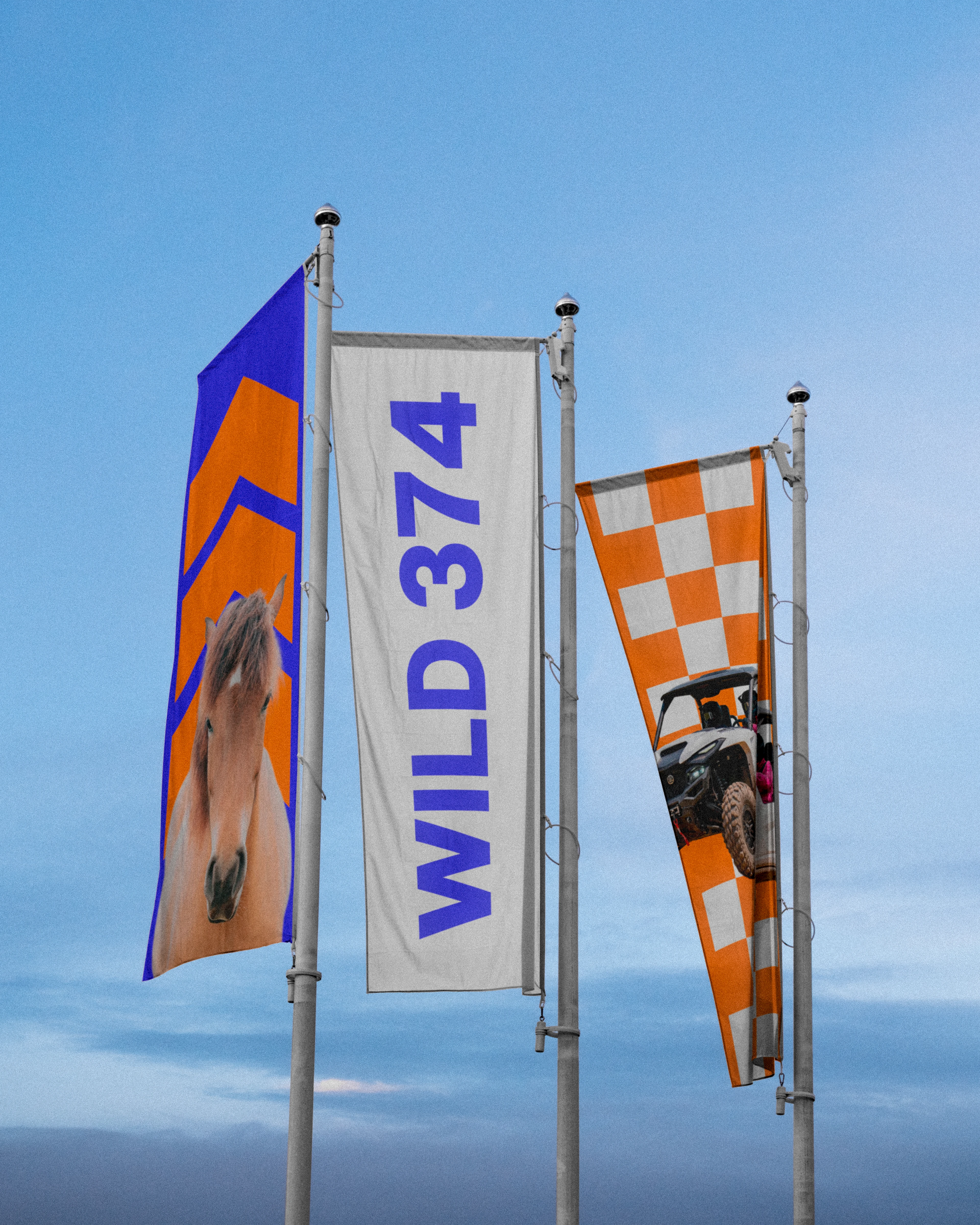 WILD374 brand identity, vertical presentation