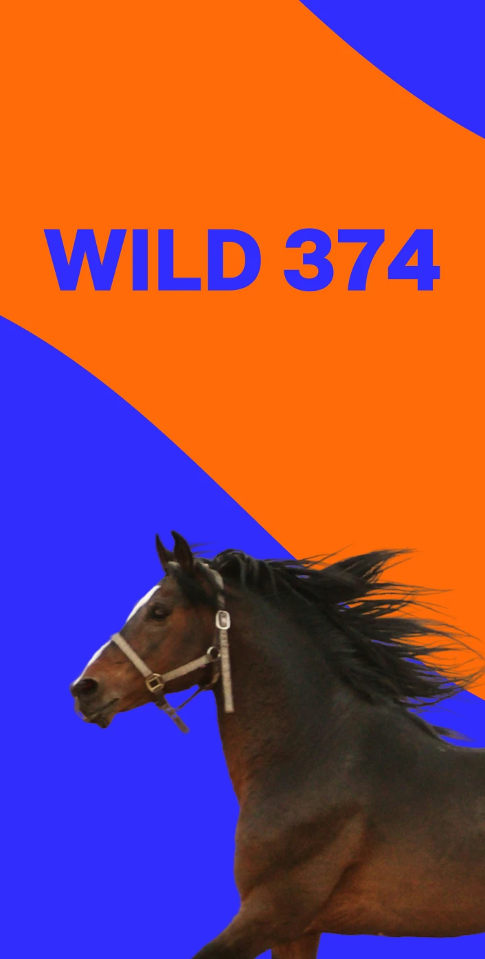 WILD374 brand identity, mobile screen 1 of 5