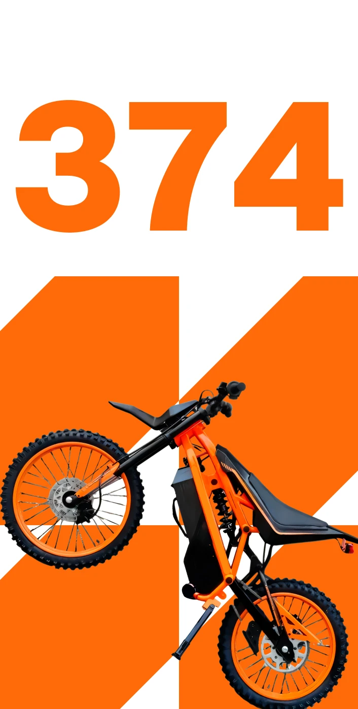 WILD374 brand identity, mobile screen 2 of 5