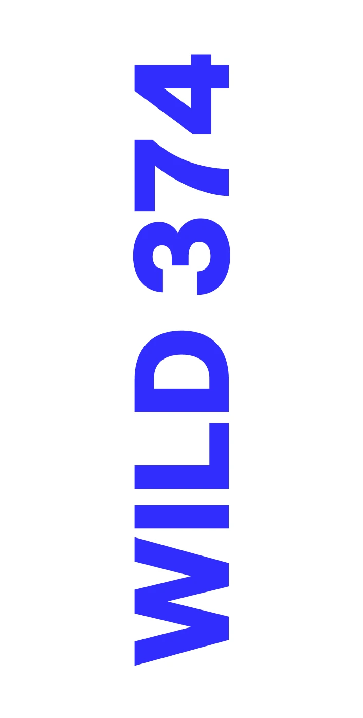 WILD374 brand identity, mobile screen 5 of 5