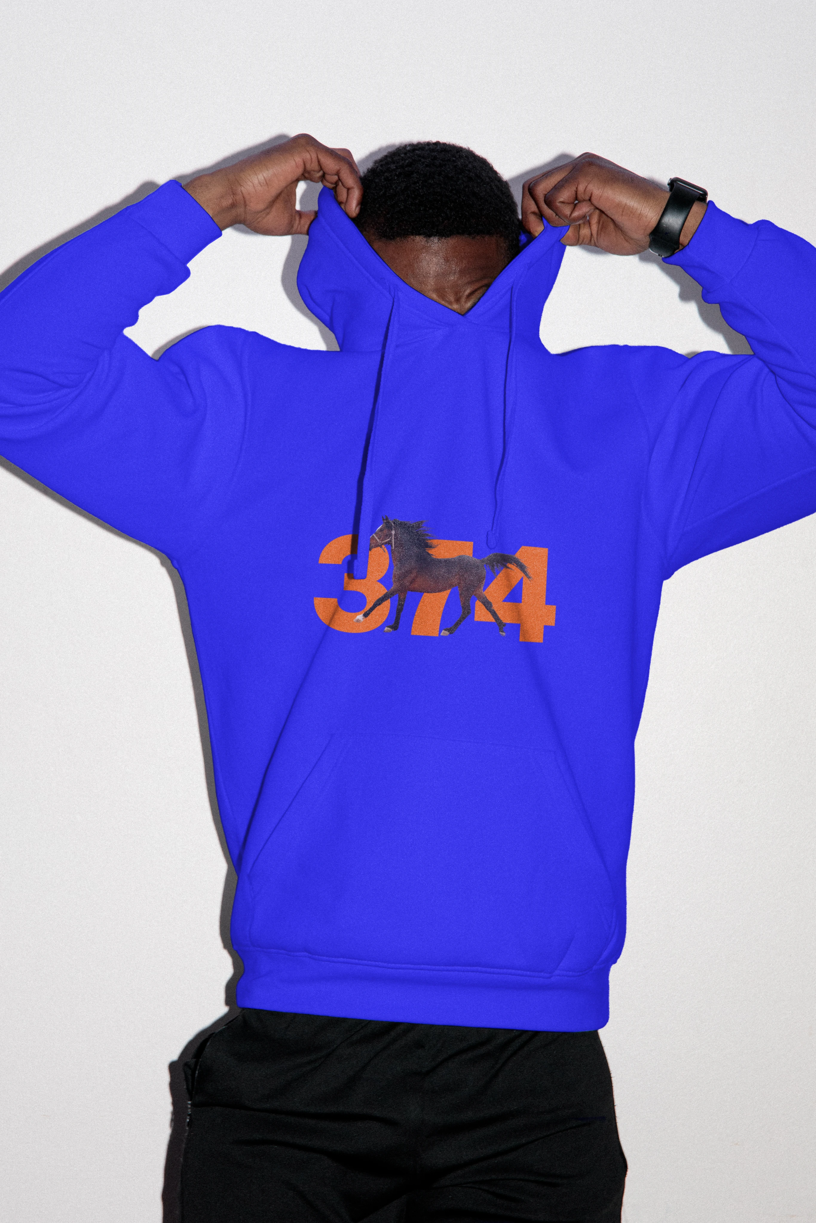 WILD374 brand identity, vertical presentation 1 of 2