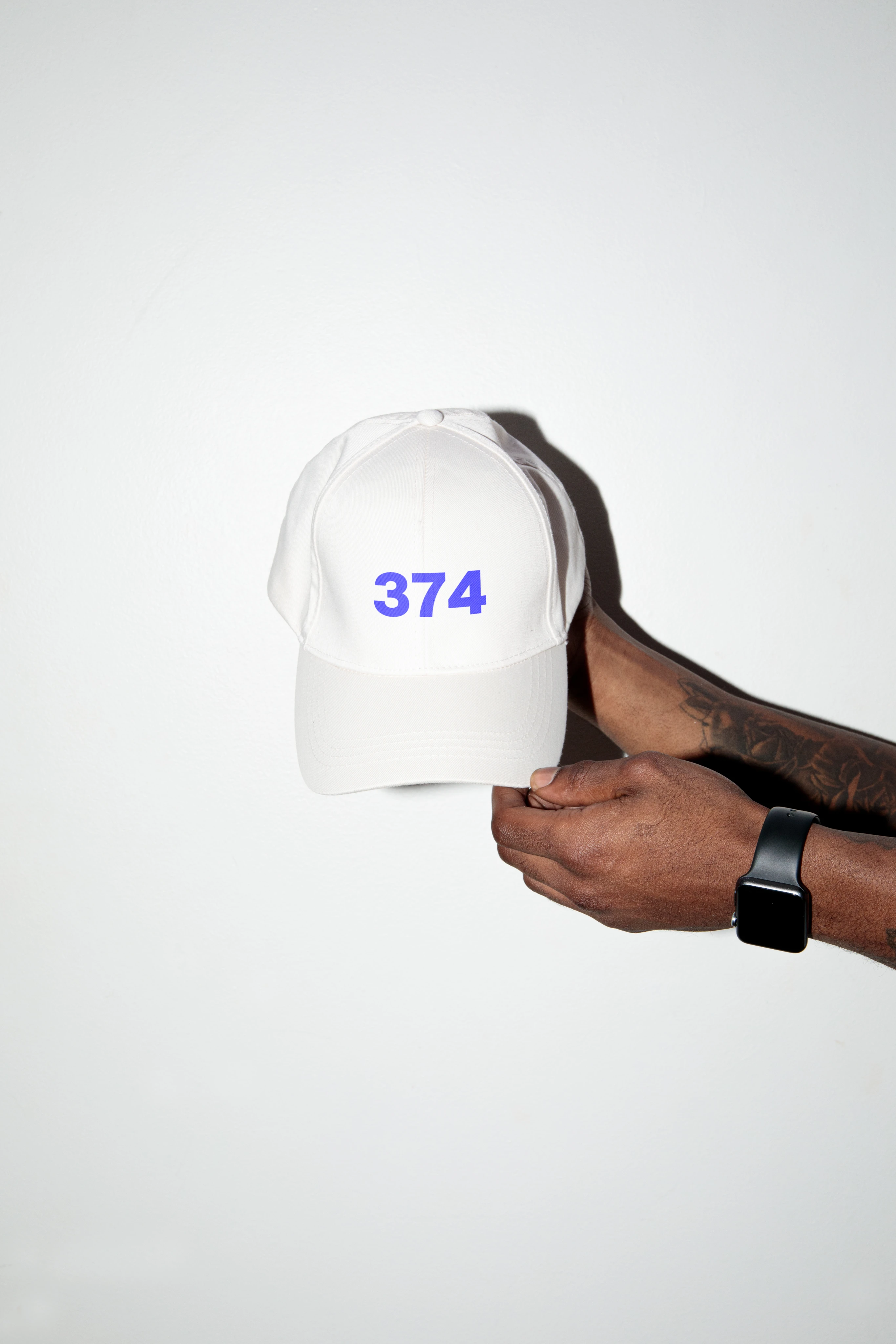 WILD374 brand identity, vertical presentation 2 of 2