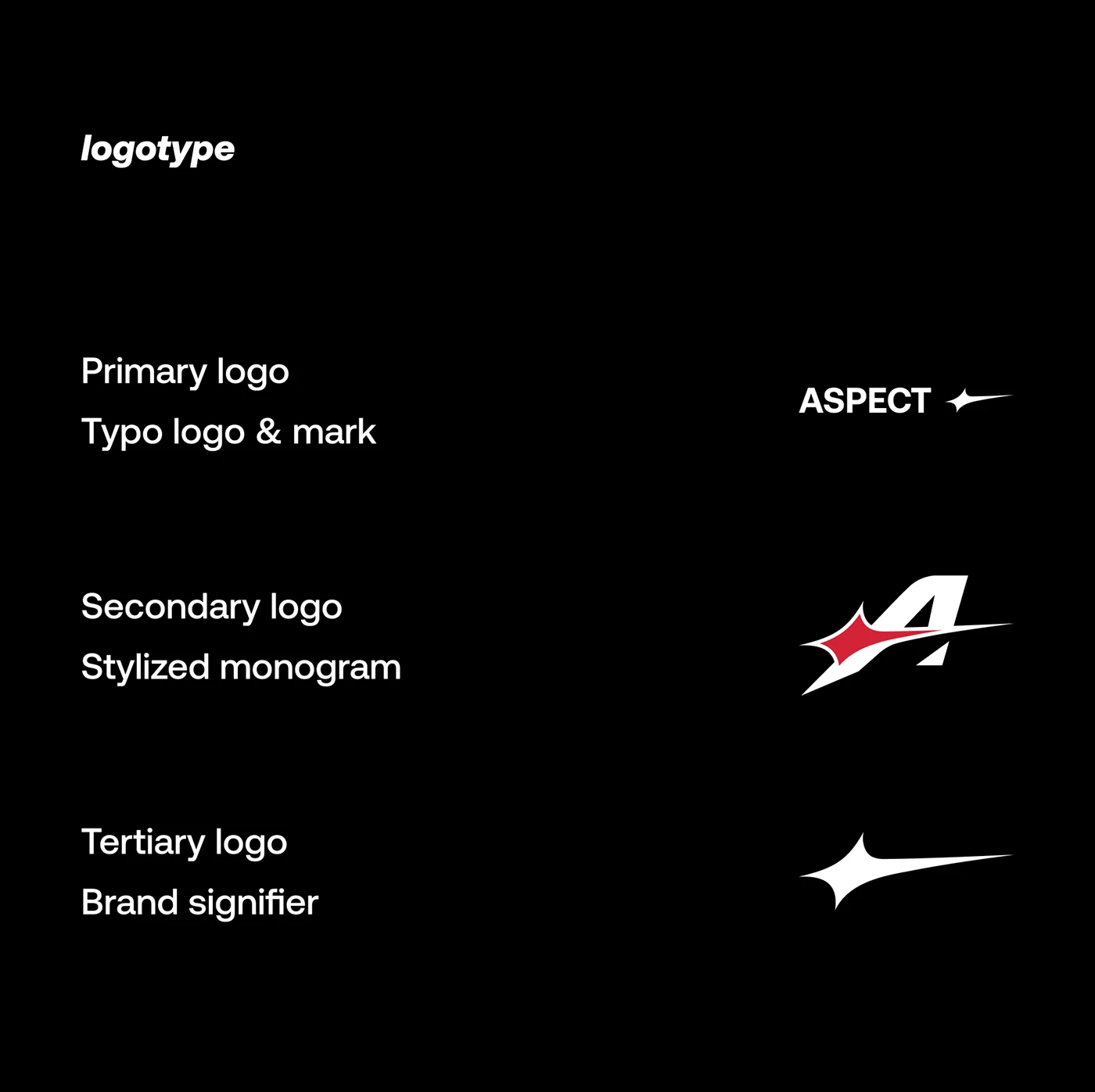 ASPECT ATHLETICS | Visual Identity & Product Design - image 16