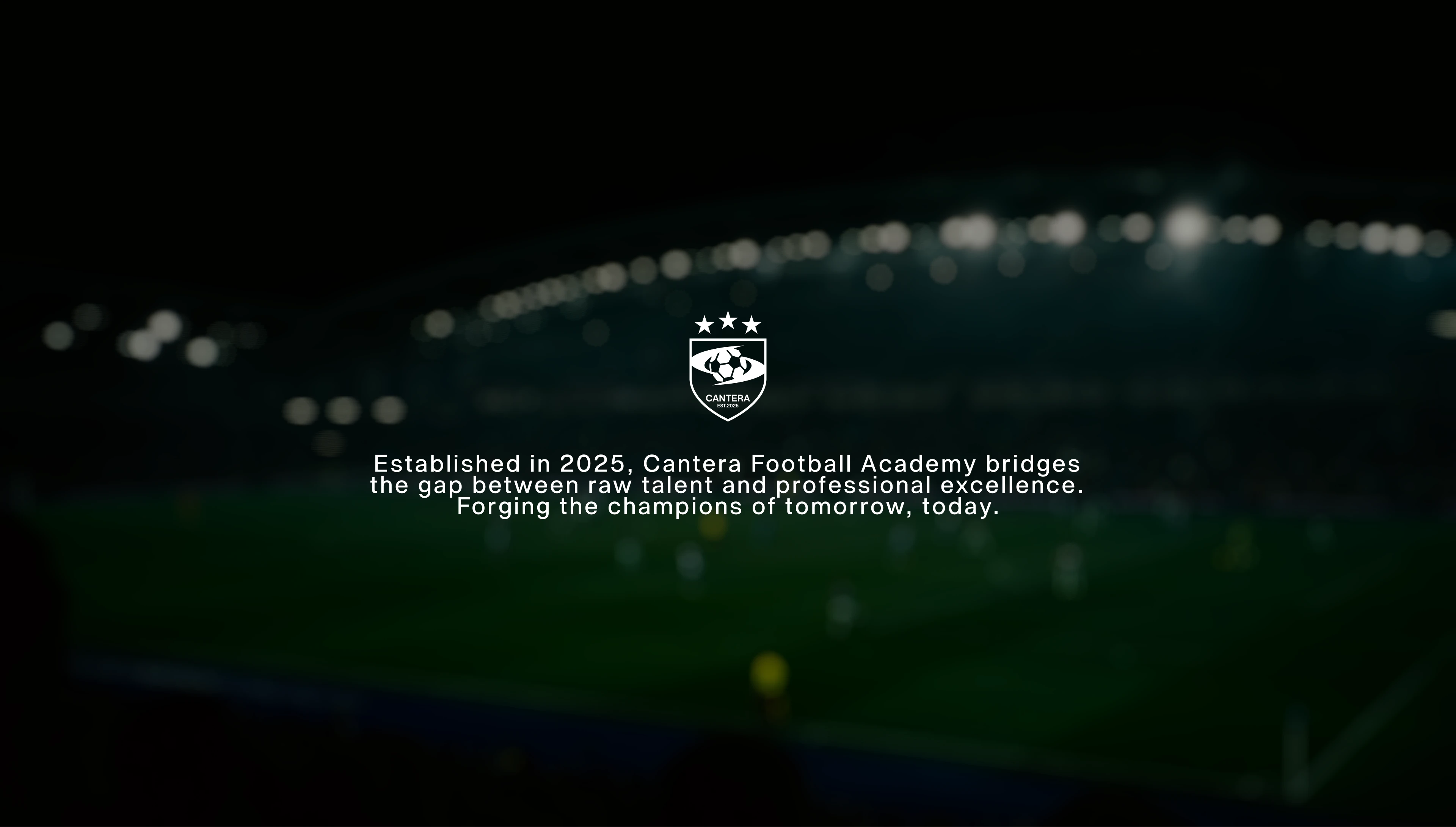 Sports Branding football club brand identity soccer FIFA uefa football Sports Design Graphic Designer Sports logo