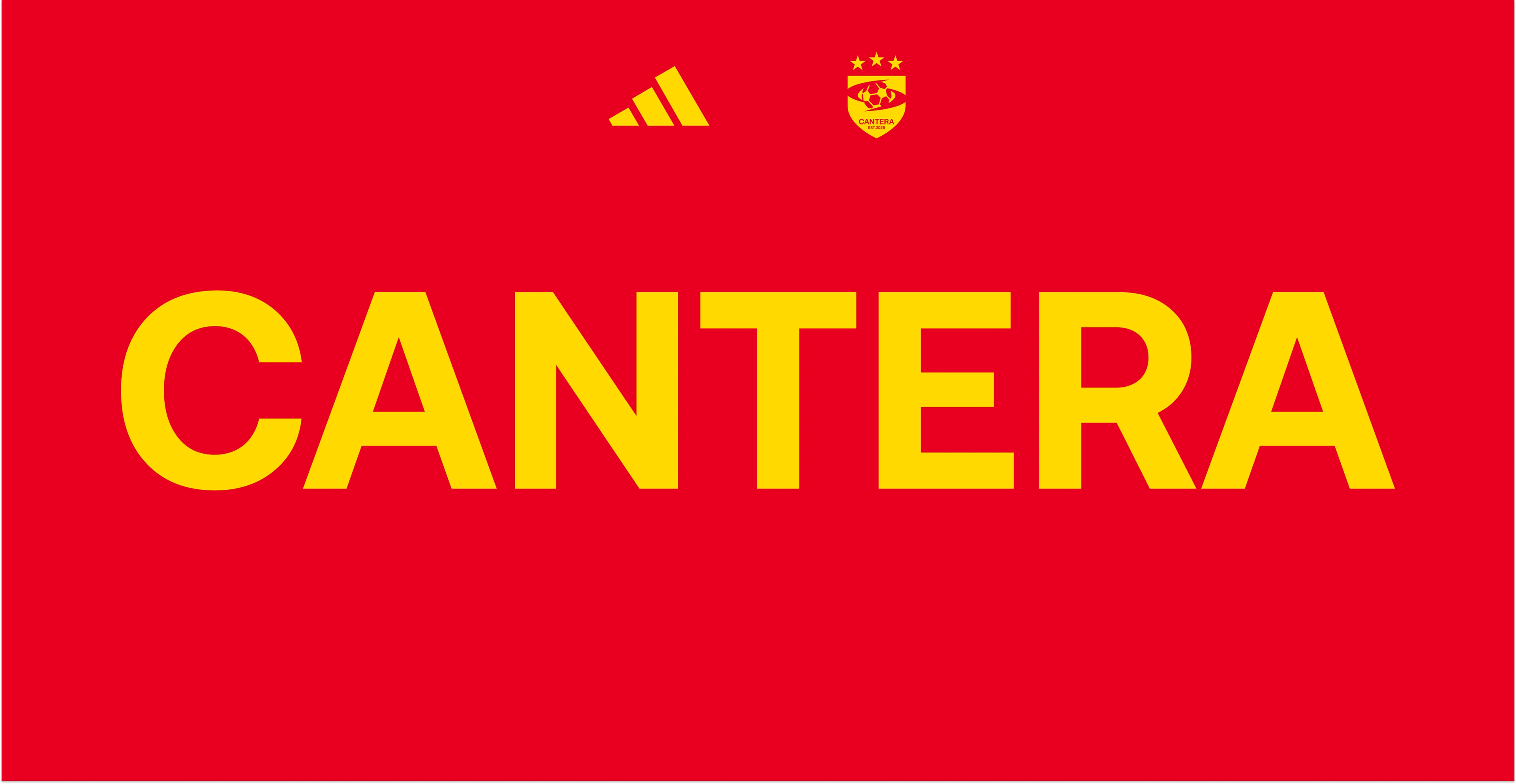 Sports Branding football club brand identity soccer FIFA uefa football Sports Design Graphic Designer Sports logo