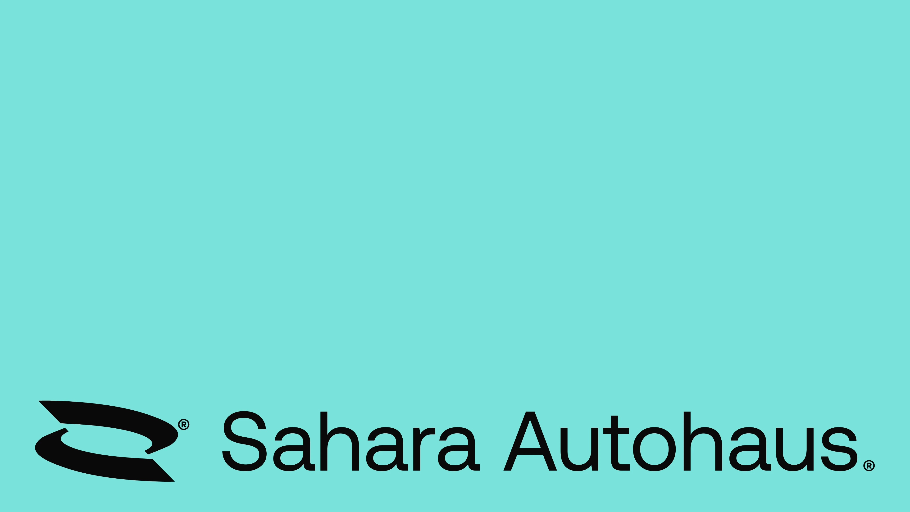 Sahara Autohaus | Detailing Identity - Mark Alexanyan - image 6